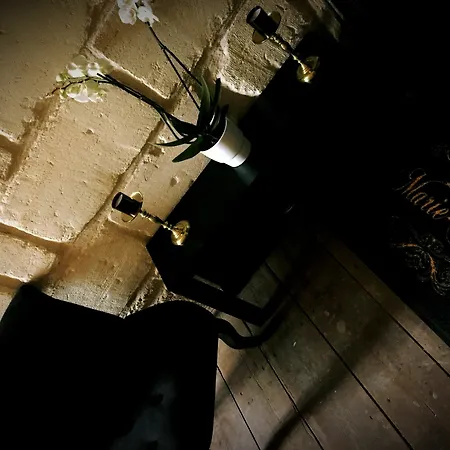 Les Secrets De Marie Astrid Apartment Bordeaux